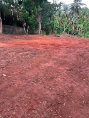 WhatsApp-Image-2026-10-12-at-12.25.16-PM