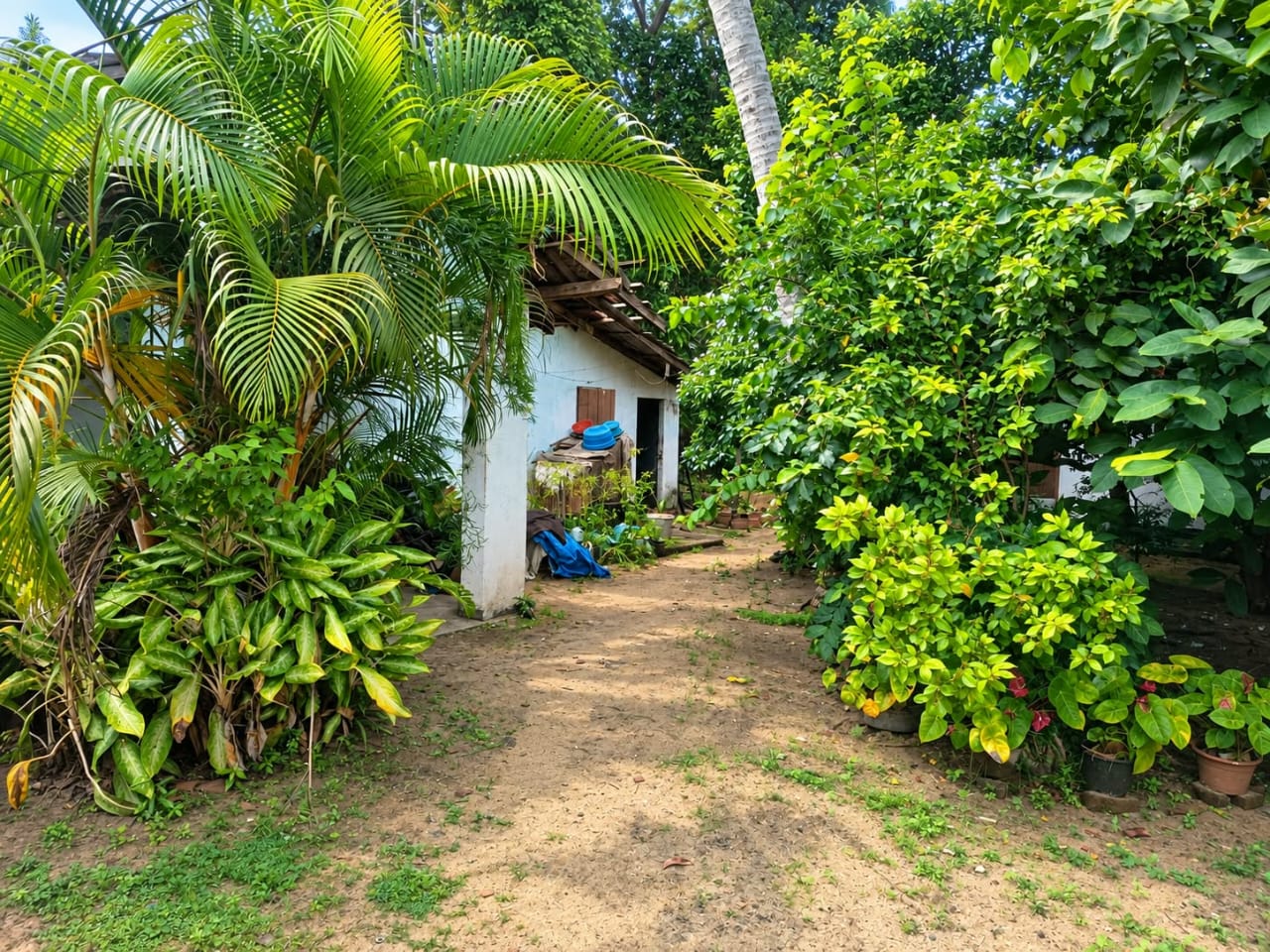 Land for Sale Seeduwa