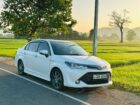 Toyota Axio Wxb 2017