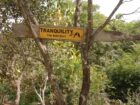 Land For Sale Battuluoya