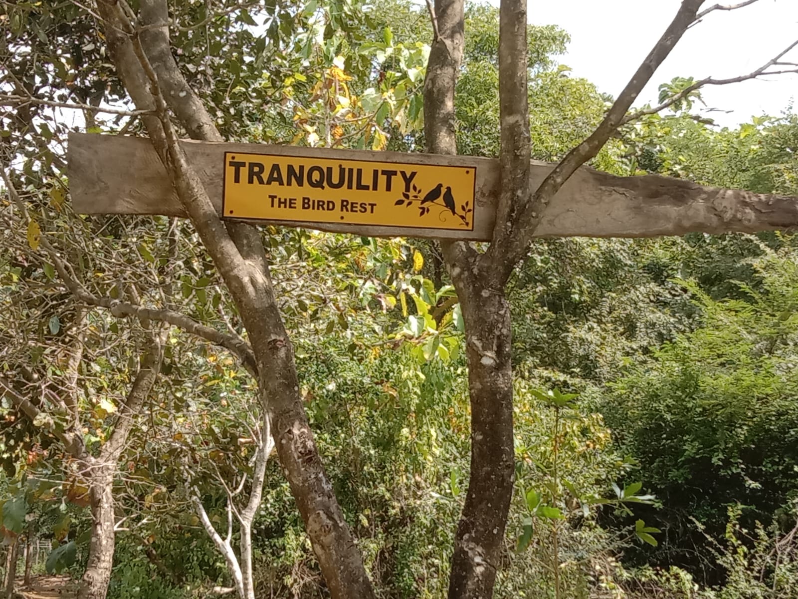 Land For Sale Battuluoya