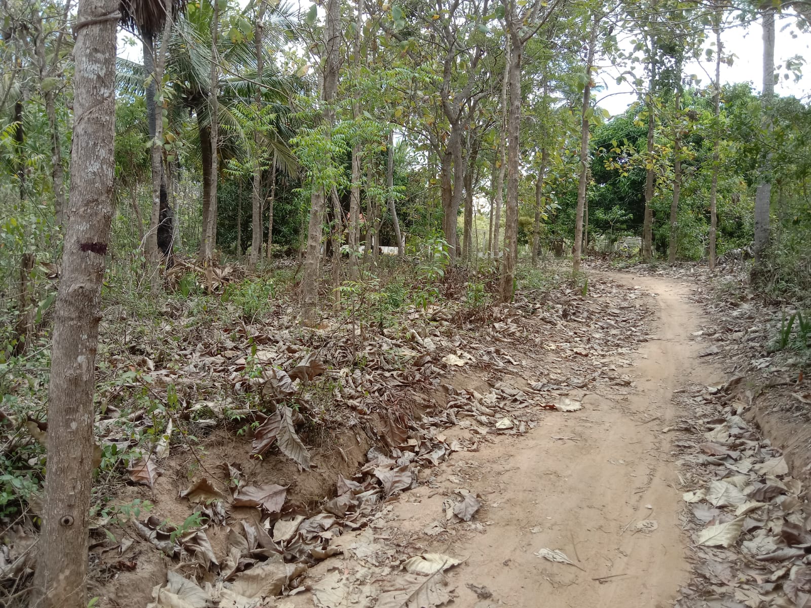 Land For Sale Battuluoya