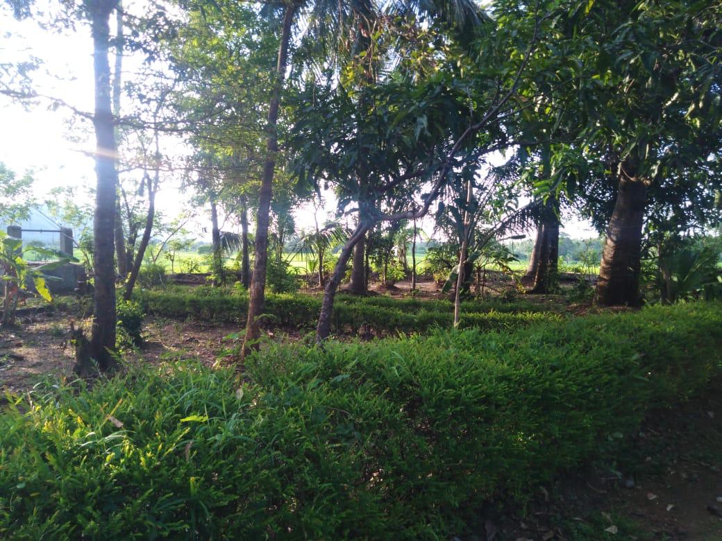 Land With House Sale In Mahiyanganaya