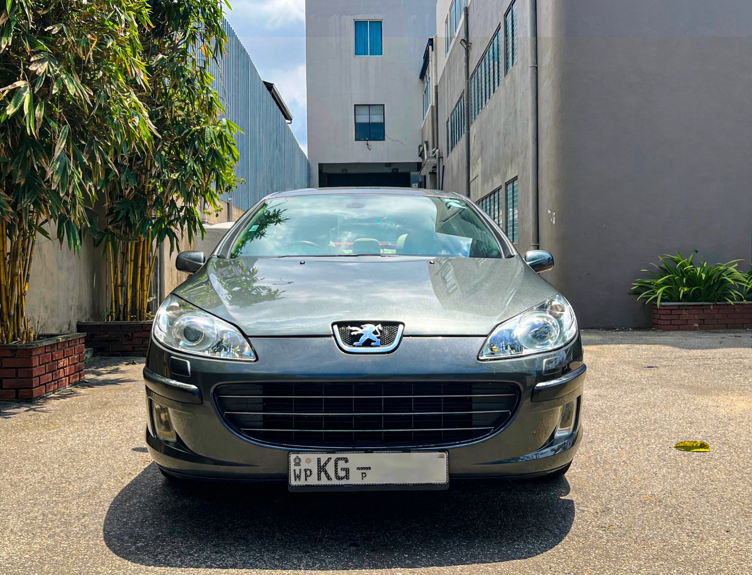 Peugeot 407 2007