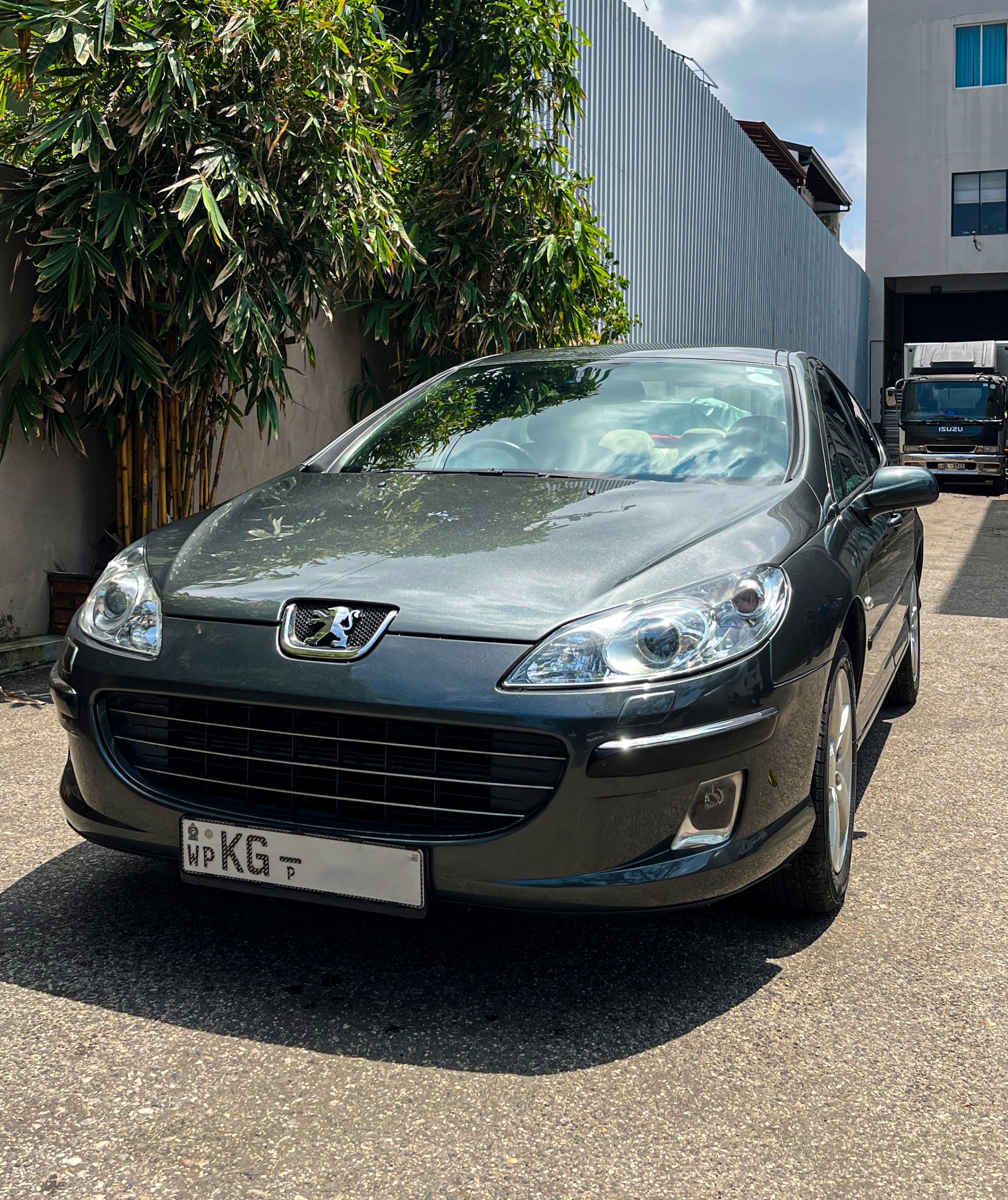 Peugeot 407 2007
