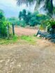 71P Land for Sale in Beliatta, Sitinamaluwa