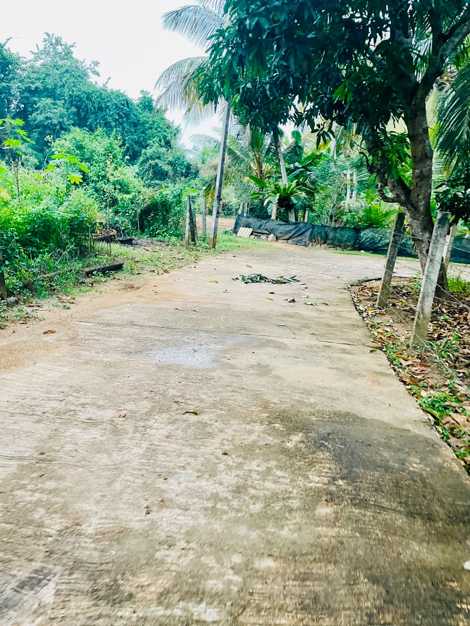 71P Land for Sale in Beliatta, Sitinamaluwa