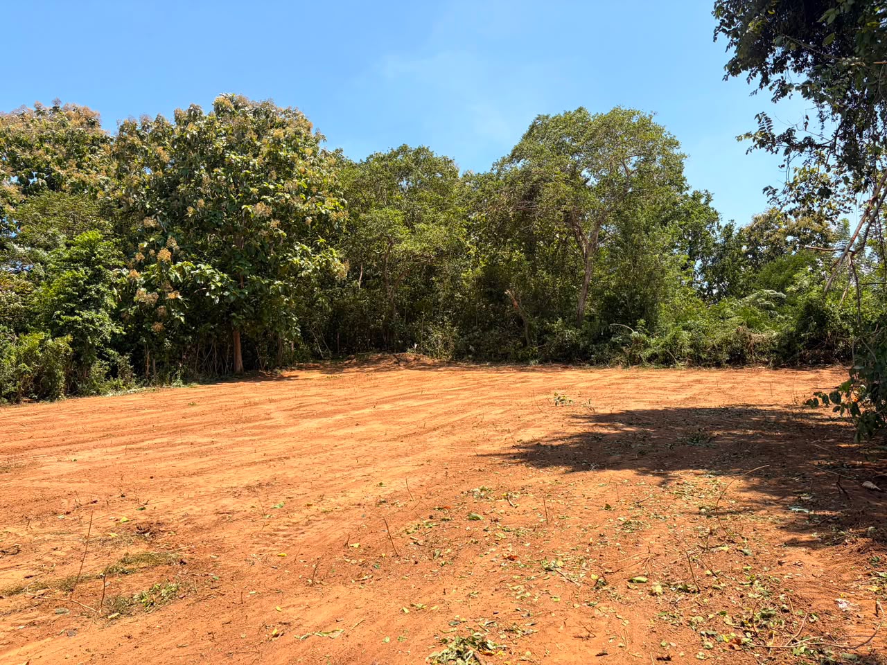71P Land for Sale in Beliatta, Sitinamaluwa