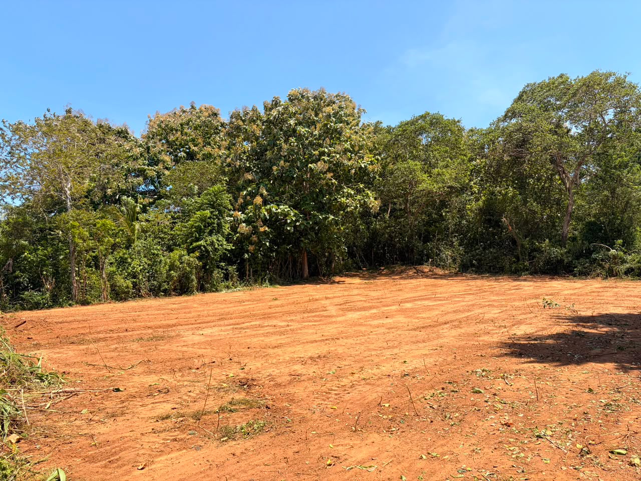 71P Land for Sale in Beliatta, Sitinamaluwa
