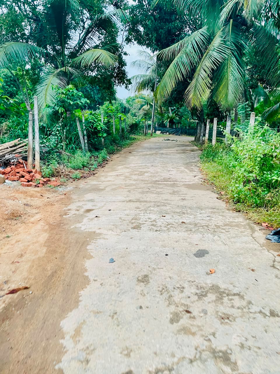 71P Land for Sale in Beliatta, Sitinamaluwa