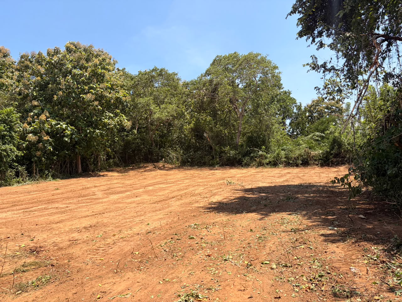 71P Land for Sale in Beliatta, Sitinamaluwa