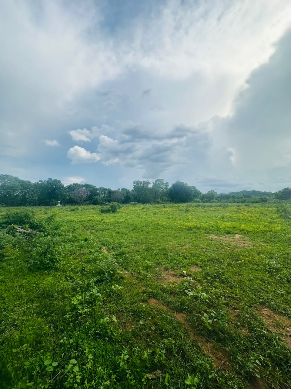 අක්කර 5ක ඉඩමක් වැවකට මායිම්ව විකිනිමට ඇත තනමල්විල