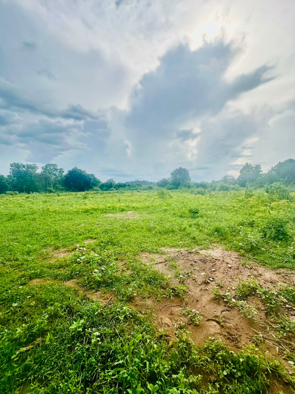 අක්කර 5ක ඉඩමක් වැවකට මායිම්ව විකිනිමට ඇත තනමල්විල