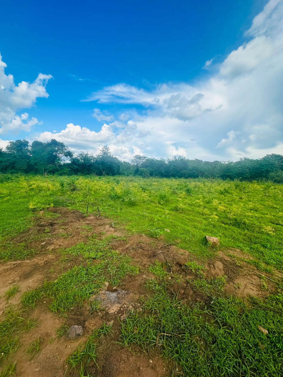 අක්කර 5ක ඉඩමක් වැවකට මායිම්ව විකිනිමට ඇත තනමල්විල
