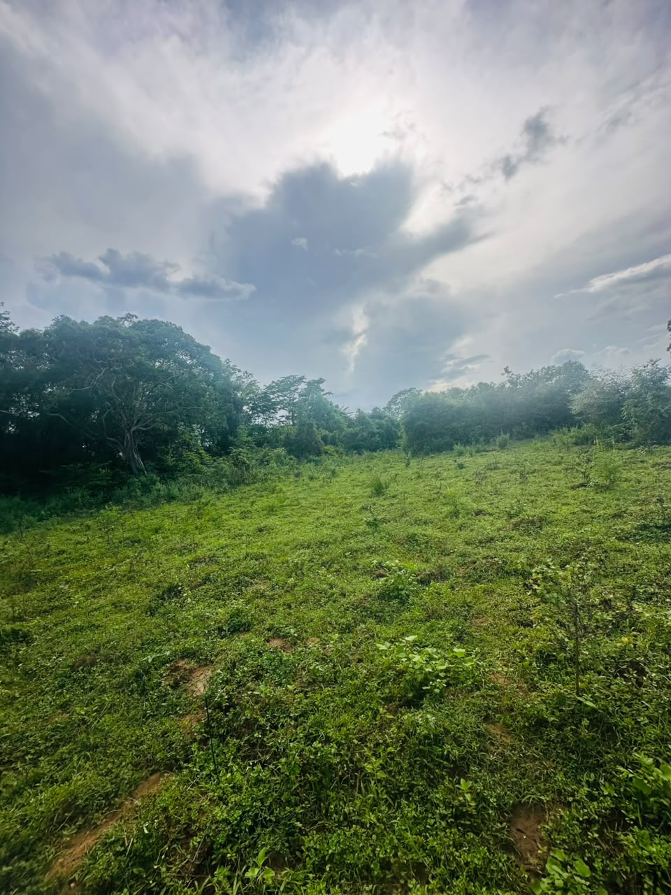 අක්කර 5ක ඉඩමක් වැවකට මායිම්ව විකිනිමට ඇත තනමල්විල