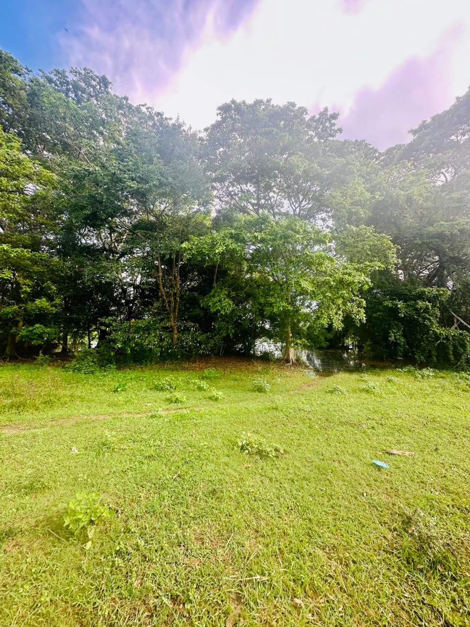 අක්කර 5ක ඉඩමක් වැවකට මායිම්ව විකිනිමට ඇත තනමල්විල
