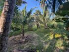 3-Bedroom House with 145 Perches of Land for Sale – Kuliyapitiya