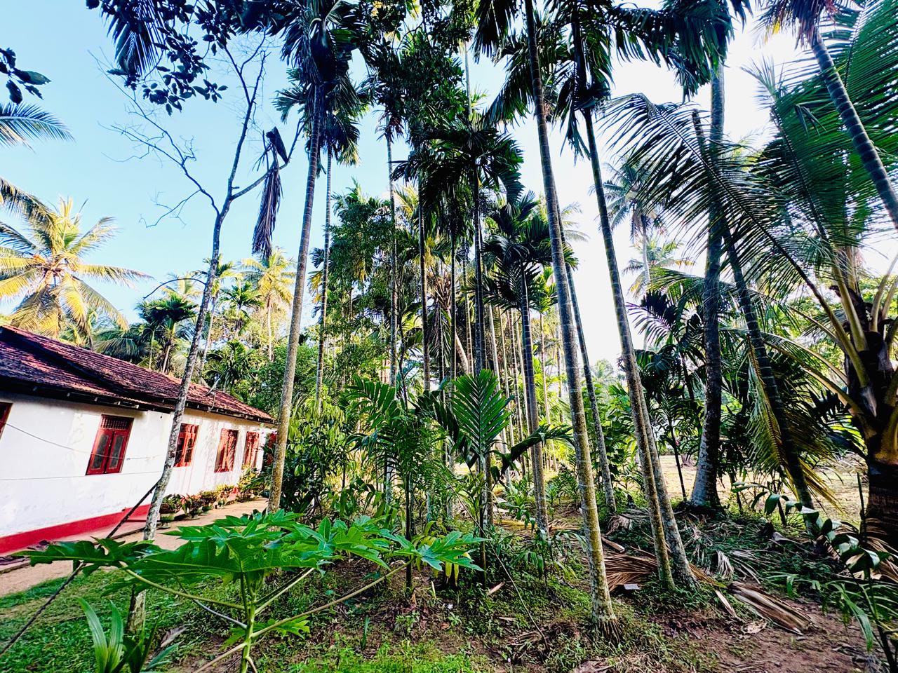 3-Bedroom House with 145 Perches of Land for Sale – Kuliyapitiya