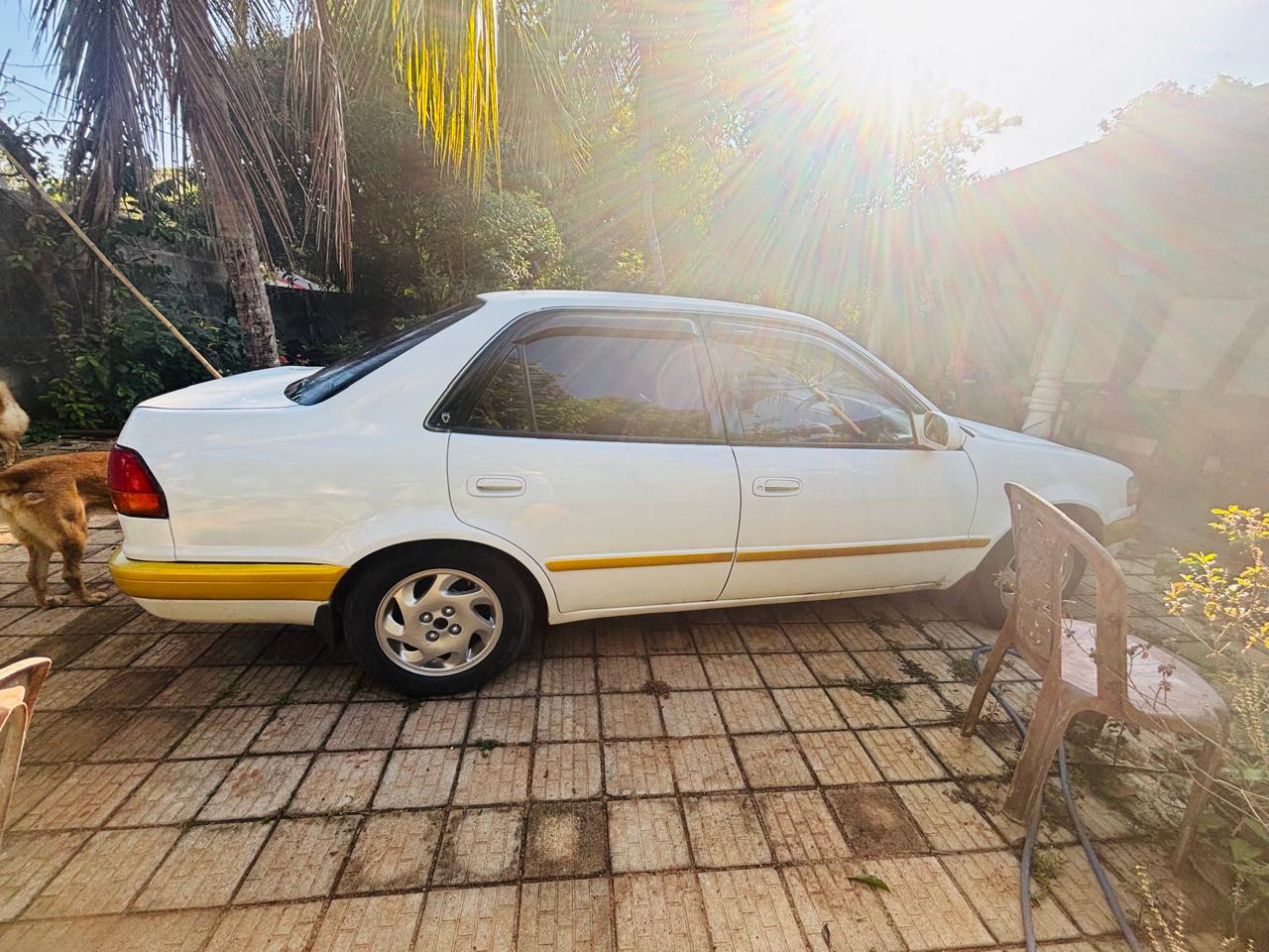 Toyota Corolla 1996
