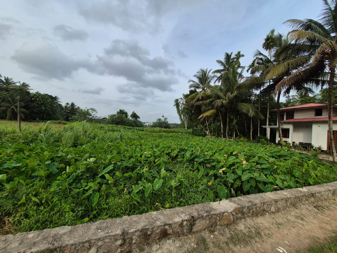 House with Land imbulgoda