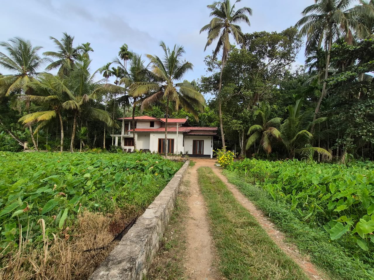House with Land imbulgoda