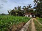 House with Land imbulgoda