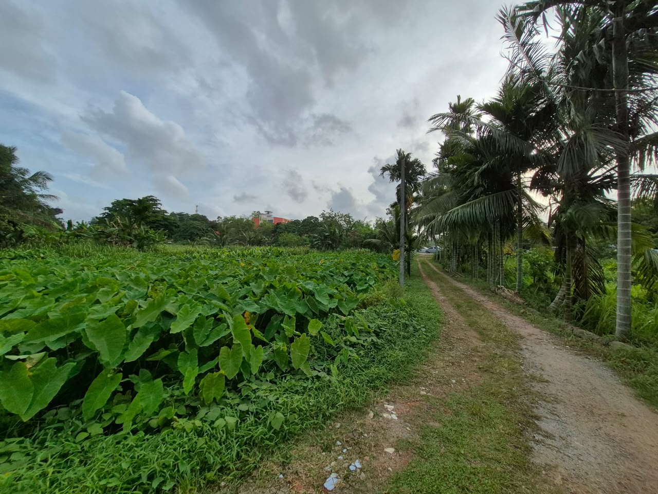 House with Land imbulgoda
