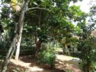 කඩවත, කිරිල්ලවල නිවසක් විකිණීමට