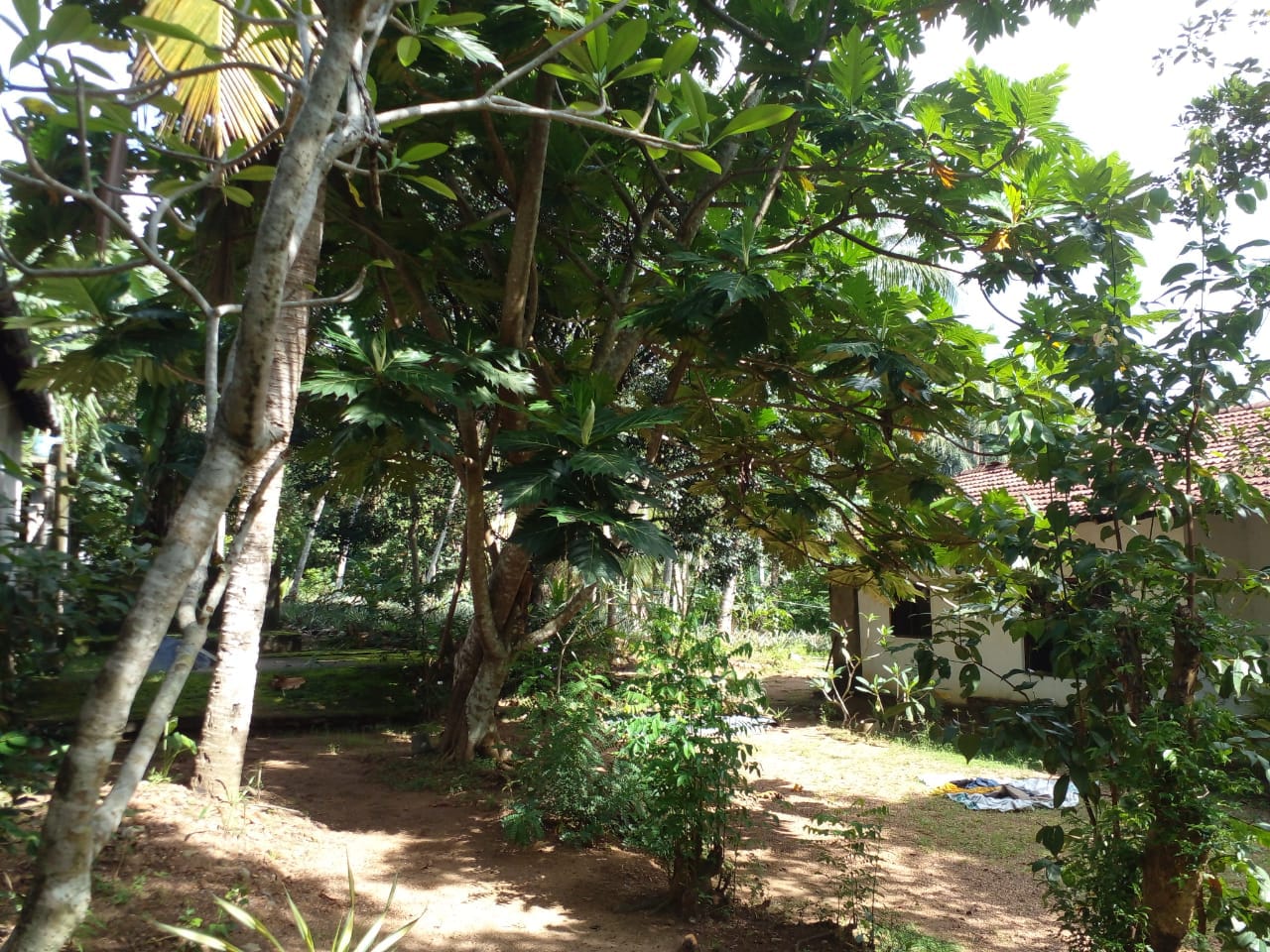 කඩවත, කිරිල්ලවල නිවසක් විකිණීමට
