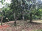 Land for Sale – Kadawatha, Weboda Road