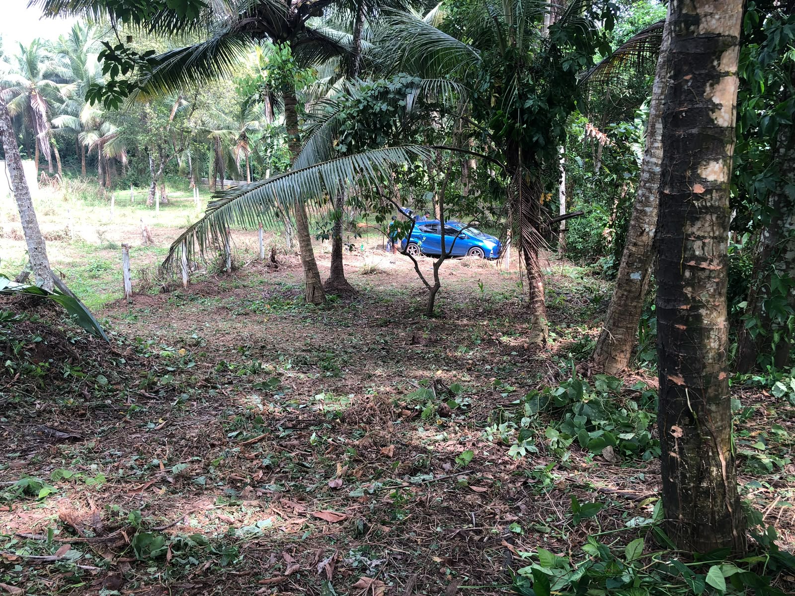Land for Sale – Kadawatha, Weboda Road