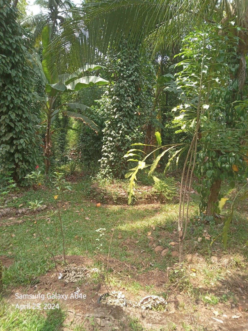 මීගහකිවුලෙන් පර්චස් 185ක සරුසාර ඉඩමක් සමඟ නිවස විකිණීමට