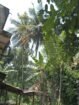මීගහකිවුලෙන් පර්චස් 185ක සරුසාර ඉඩමක් සමඟ නිවස විකිණීමට