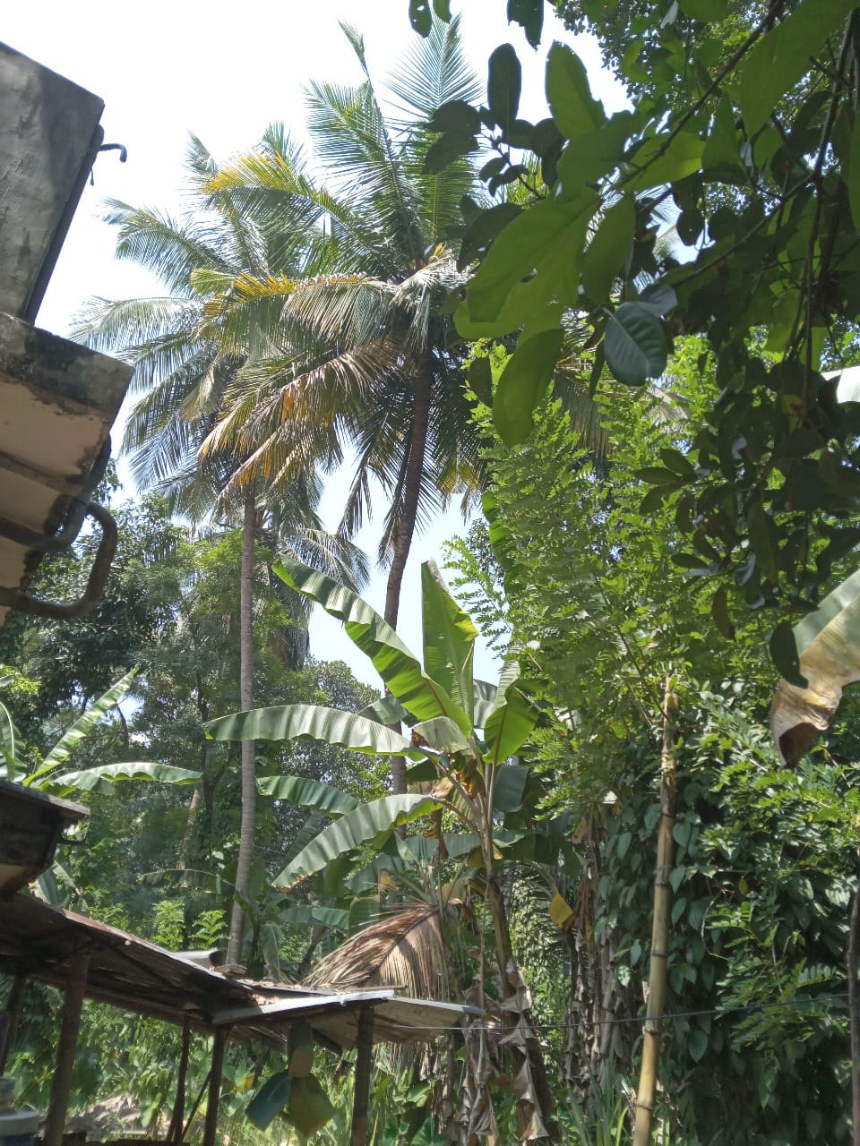 මීගහකිවුලෙන් පර්චස් 185ක සරුසාර ඉඩමක් සමඟ නිවස විකිණීමට