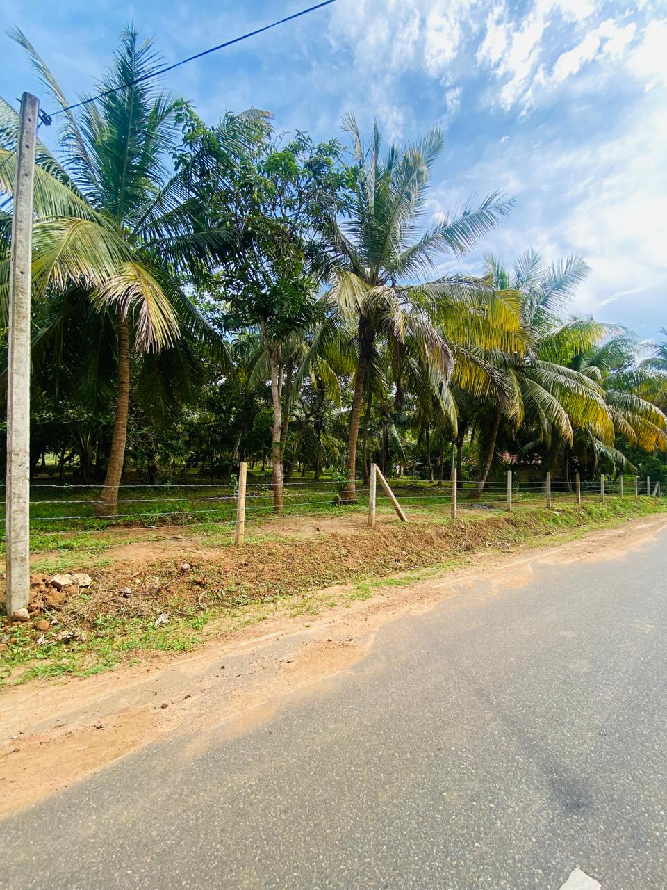 Land for Sale Tangalle ( Ranna)