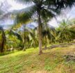 Land for Sale Tangalle ( Ranna)