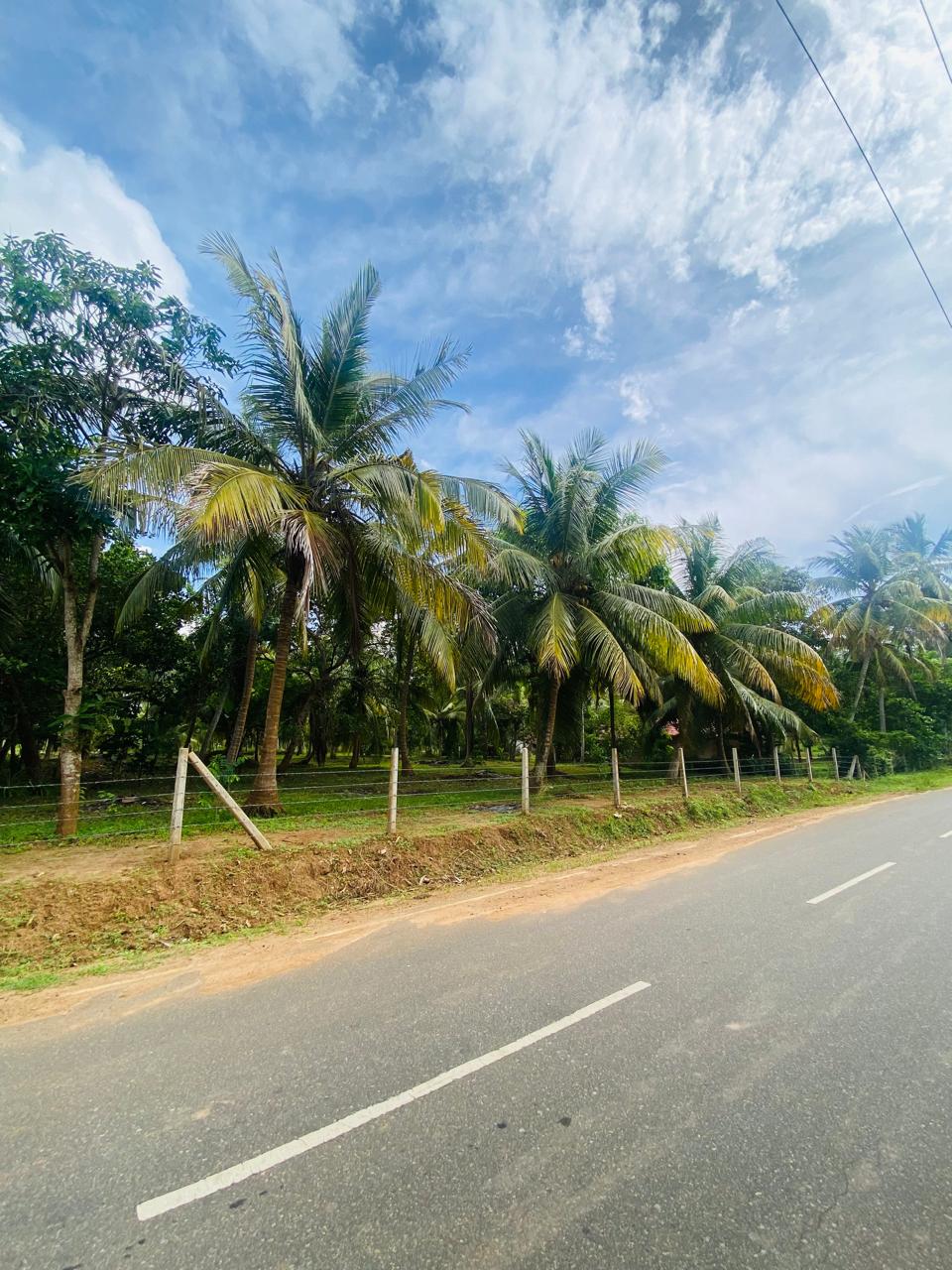 Land for Sale Tangalle ( Ranna)