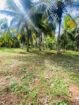 Land for Sale Tangalle ( Ranna)