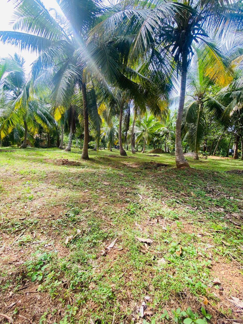 Land for Sale Tangalle ( Ranna)
