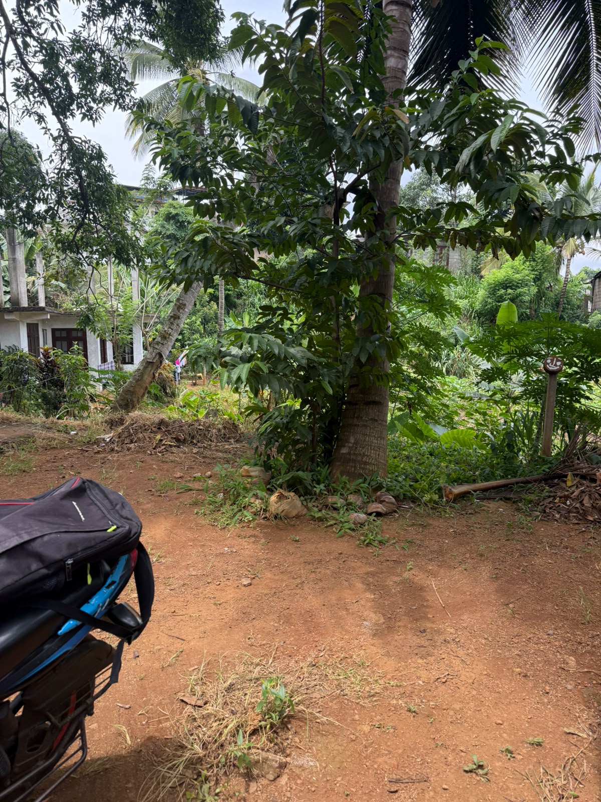 Prime Property For Sale In KandyCity,Ideal Commercial Or Residential