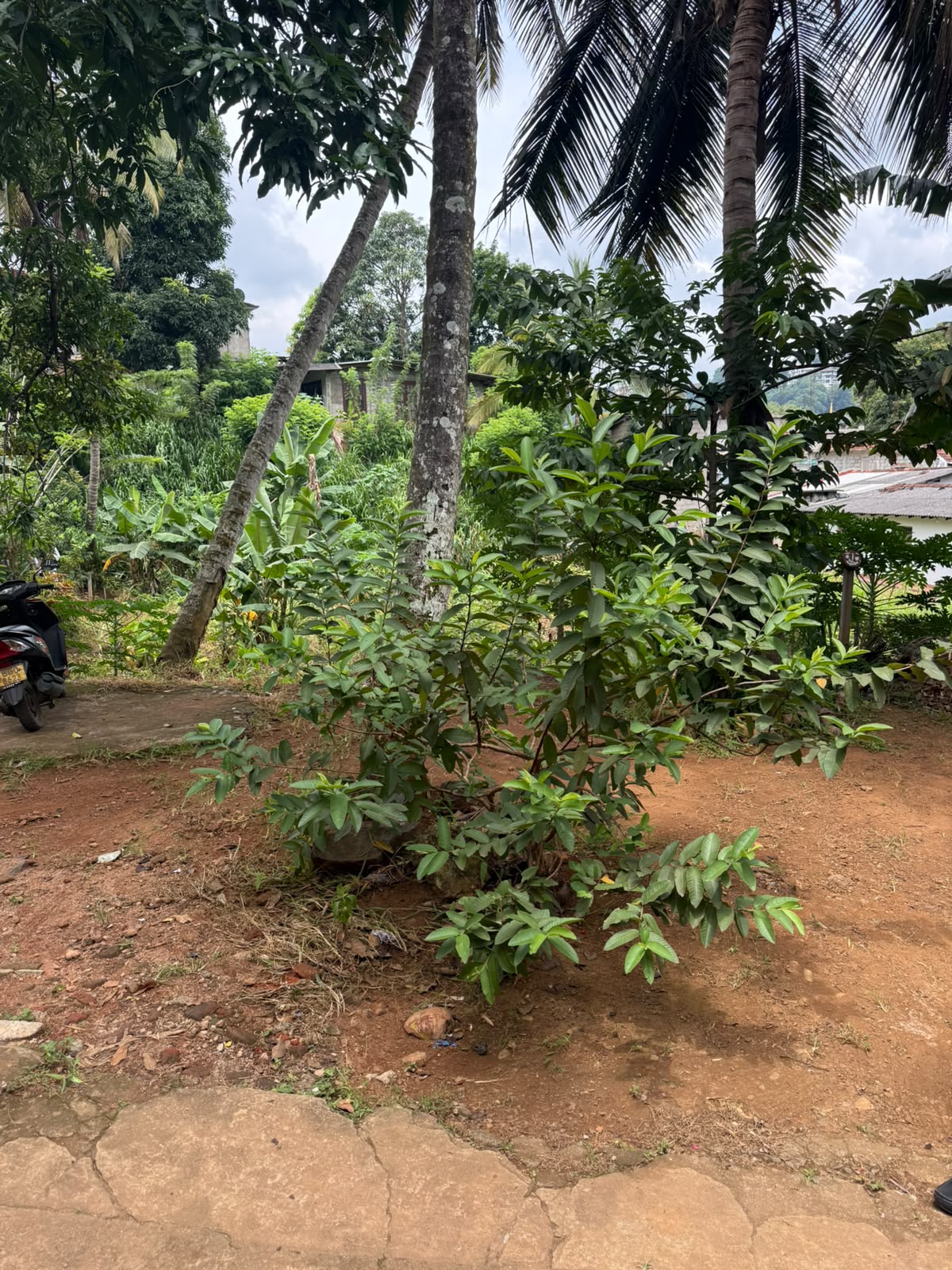 Prime Property For Sale In KandyCity,Ideal Commercial Or Residential