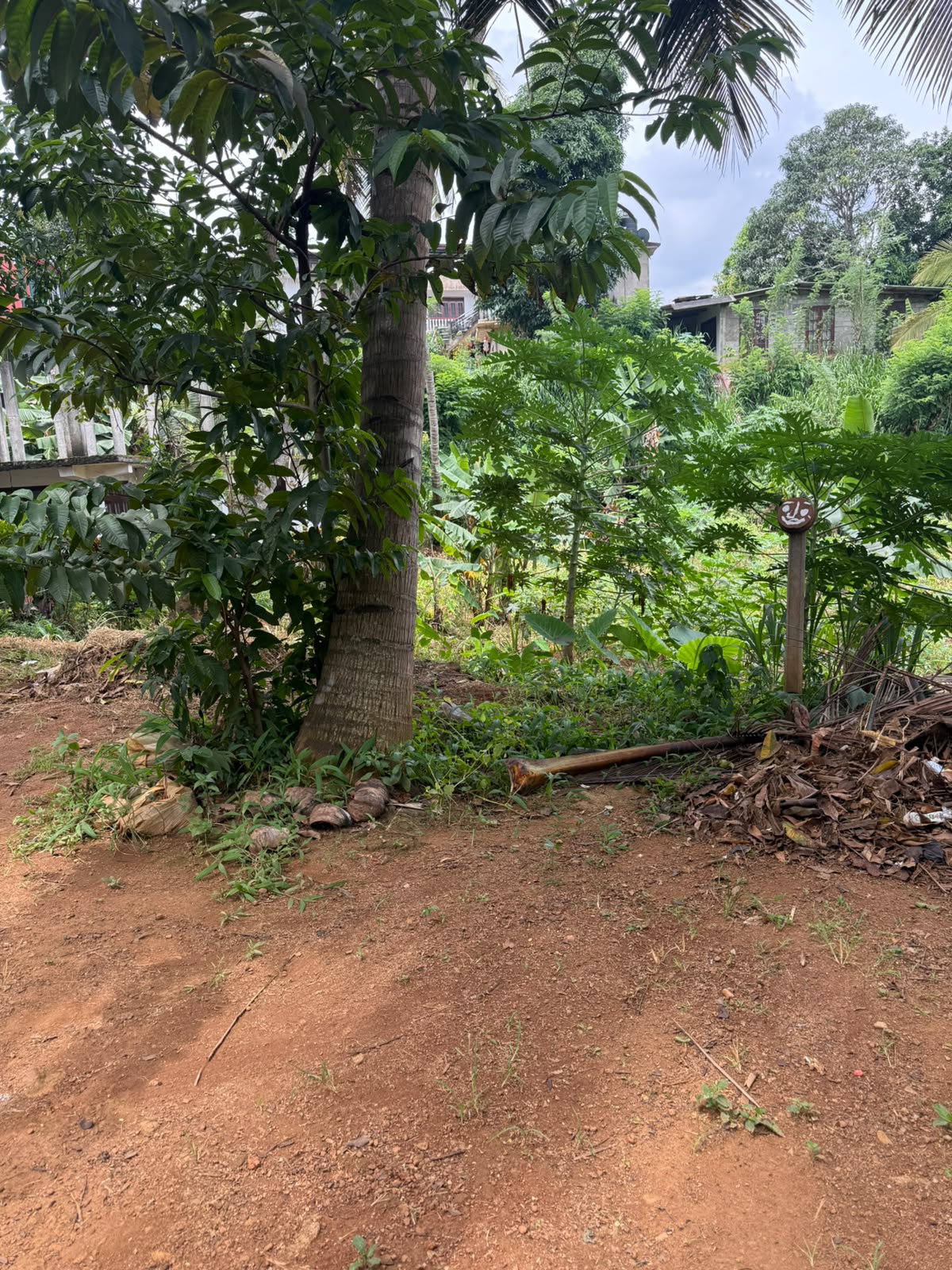 Prime Property For Sale In KandyCity,Ideal Commercial Or Residential