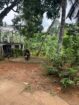 Prime Property For Sale In KandyCity,Ideal Commercial Or Residential