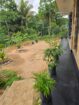 House for Sale – Digana