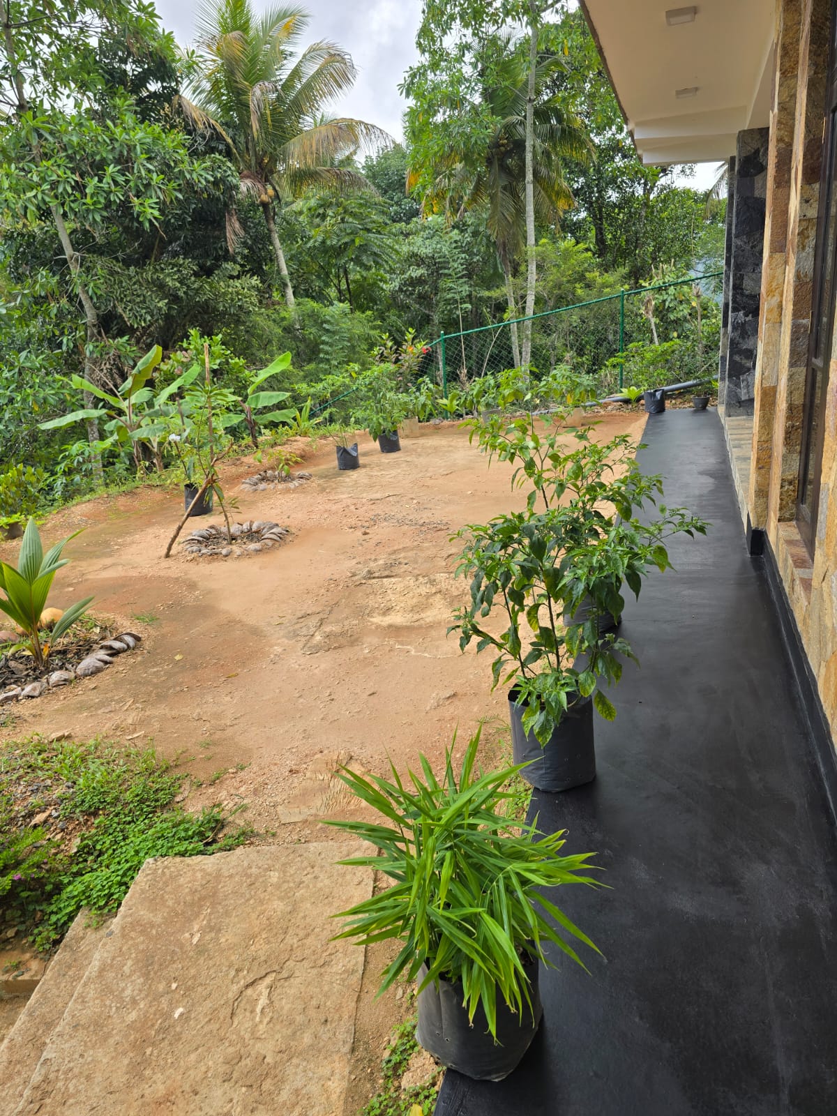 House for Sale – Digana