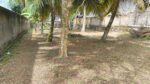 Land for Sale In Kandana