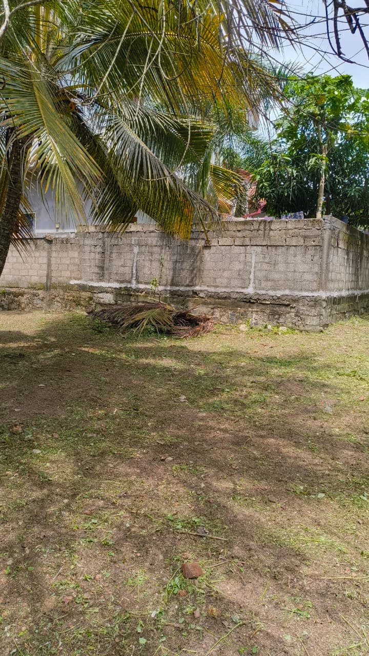 Land for Sale In Kandana