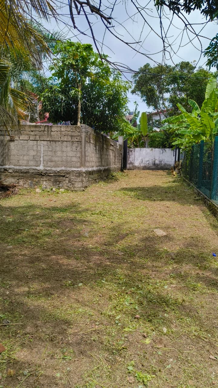 Land for Sale In Kandana