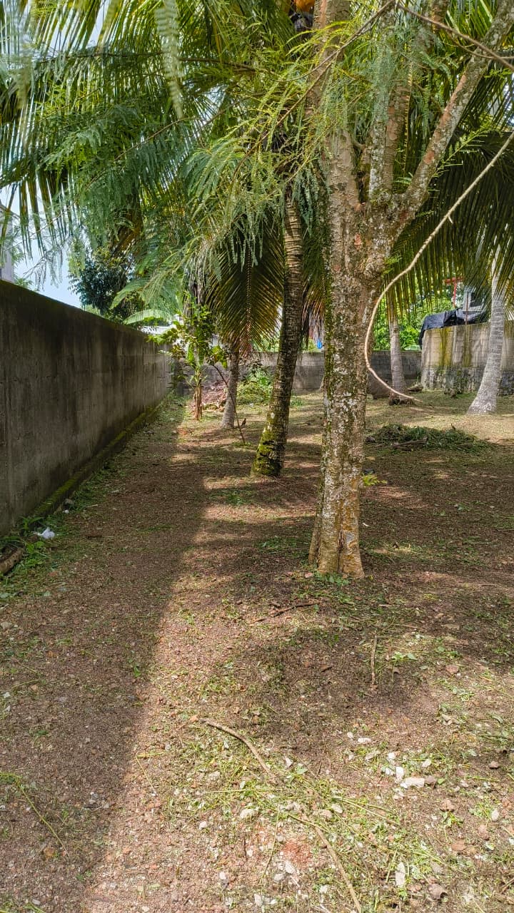 Land for Sale In Kandana
