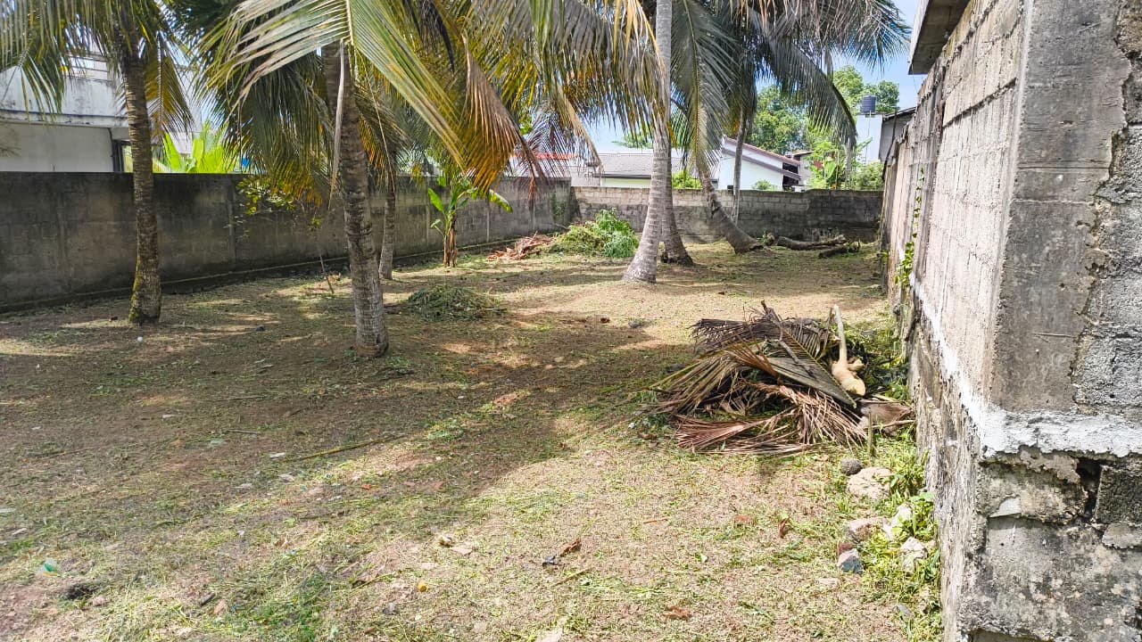 Land for Sale In Kandana